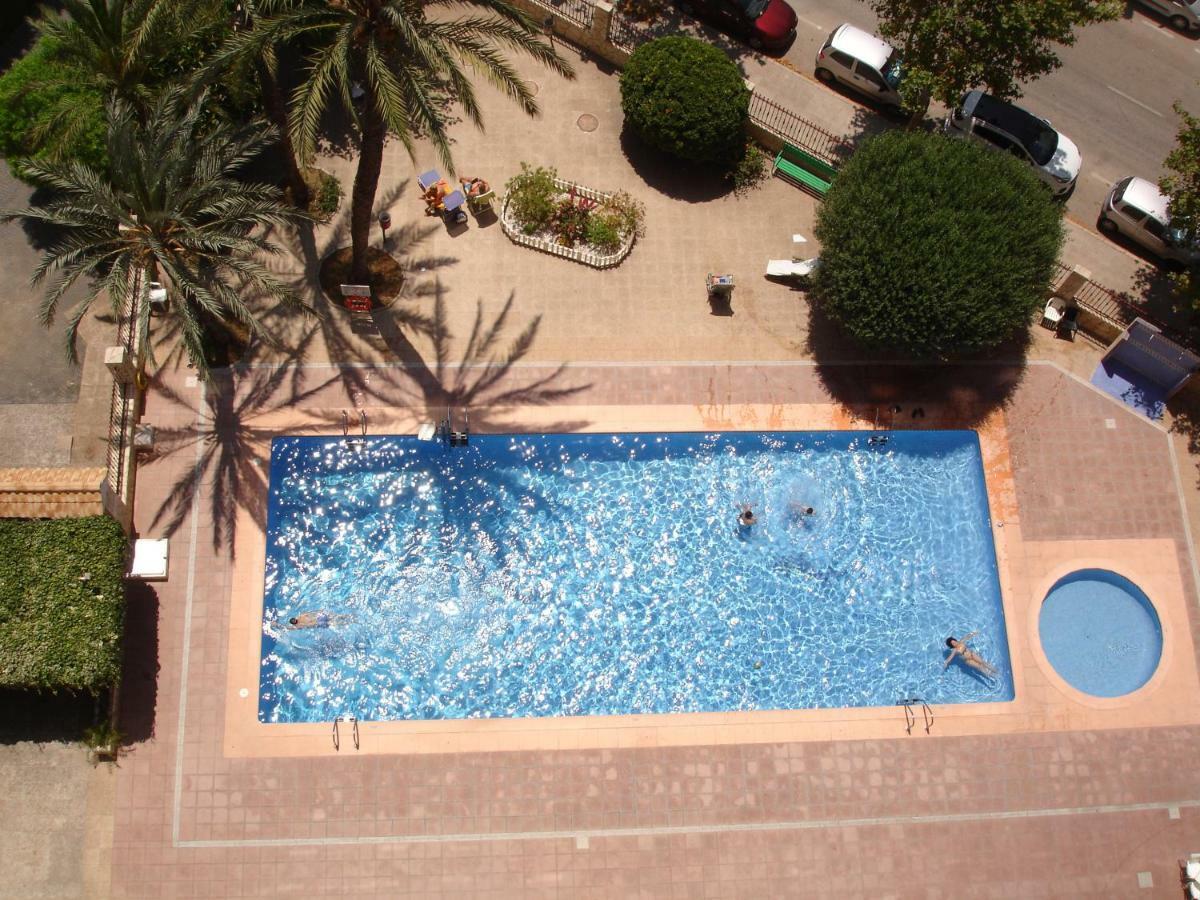 Moby Dick Apartment Benidorm Bagian luar foto